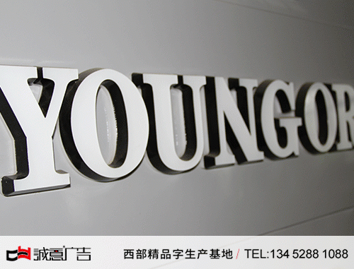 雅戈爾服裝品牌連鎖形象墻迷你發光字1