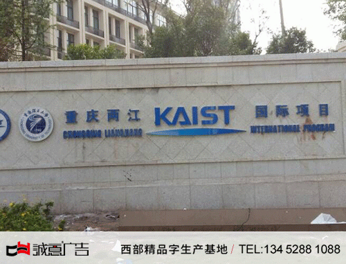 兩江國際水景墻樹脂發光字